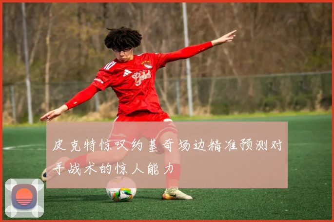 皮克特惊叹约基奇场边精准预测对手战术的惊人能力